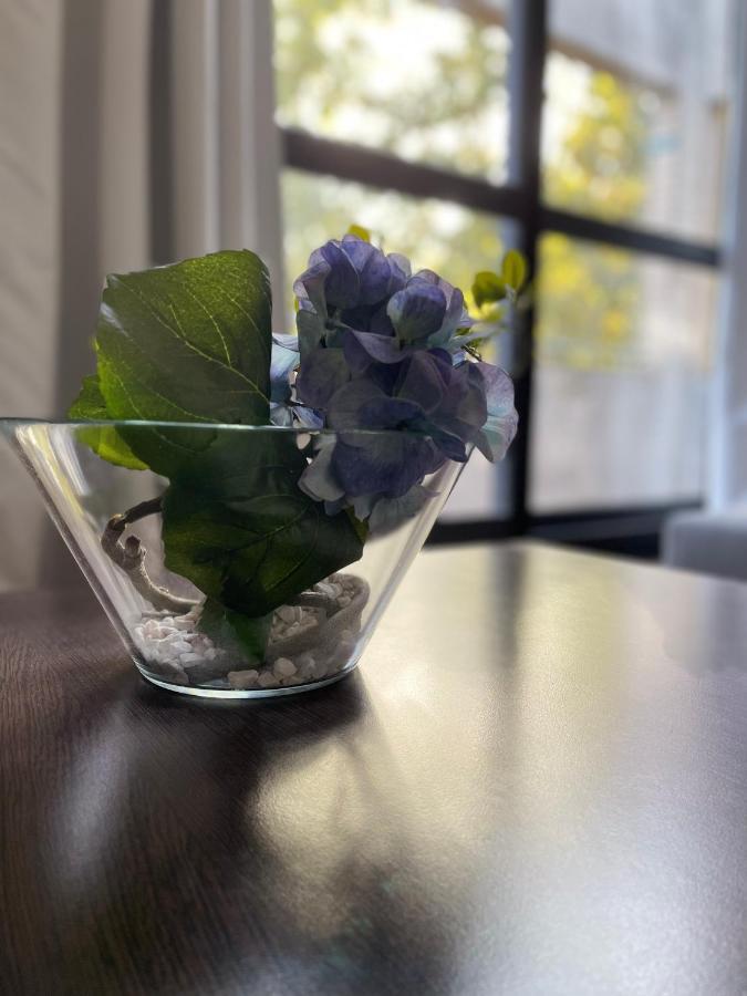 Dg Apartment - Le Relais Du Lac, Proche Disneyland Paris Lognes Zewnętrze zdjęcie